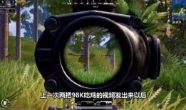 最新蹦蹦枪爆料,蹦蹦枪事件深度剖析